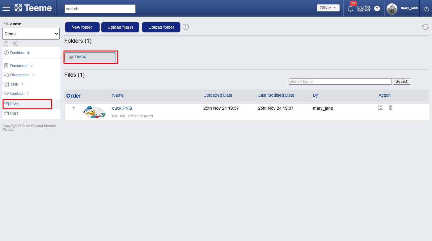 files Feature 1